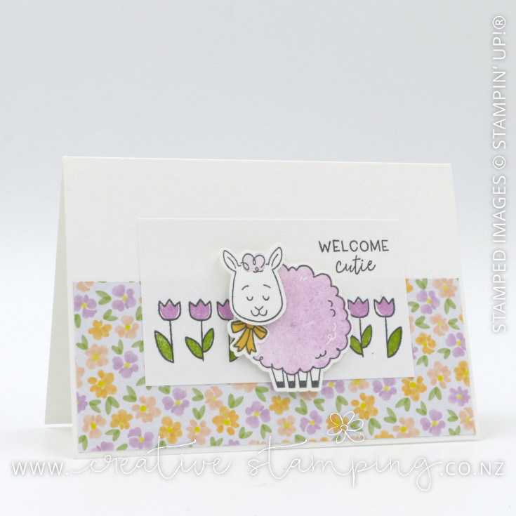 Woolly Friends Welcome Baby Note Card