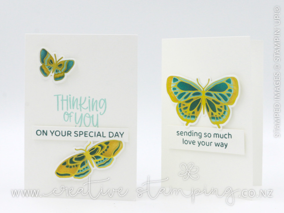 Butterfly Flight Thinking Of You Note Cards