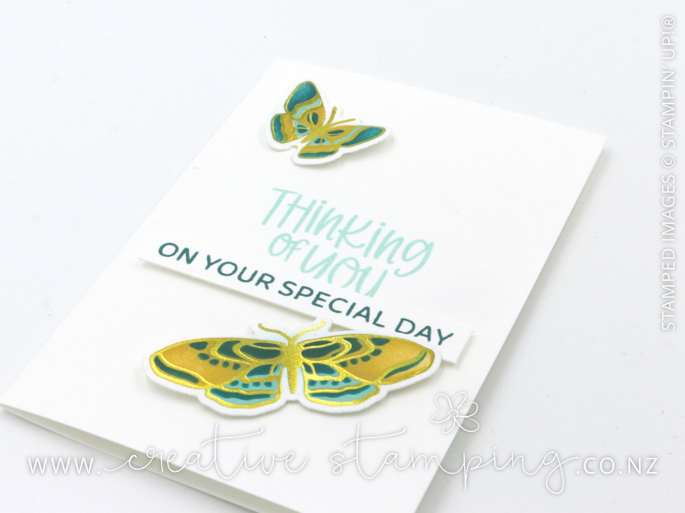 Butterfly Flight Thinking of You Note Cards
