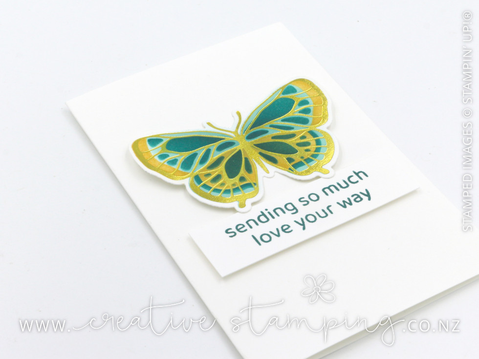 Butterfly Flight Thinking of You Note Cards
