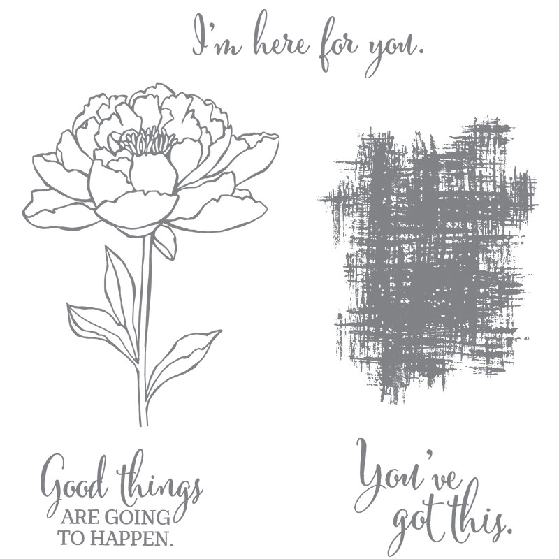 You've Got This Stamp Set