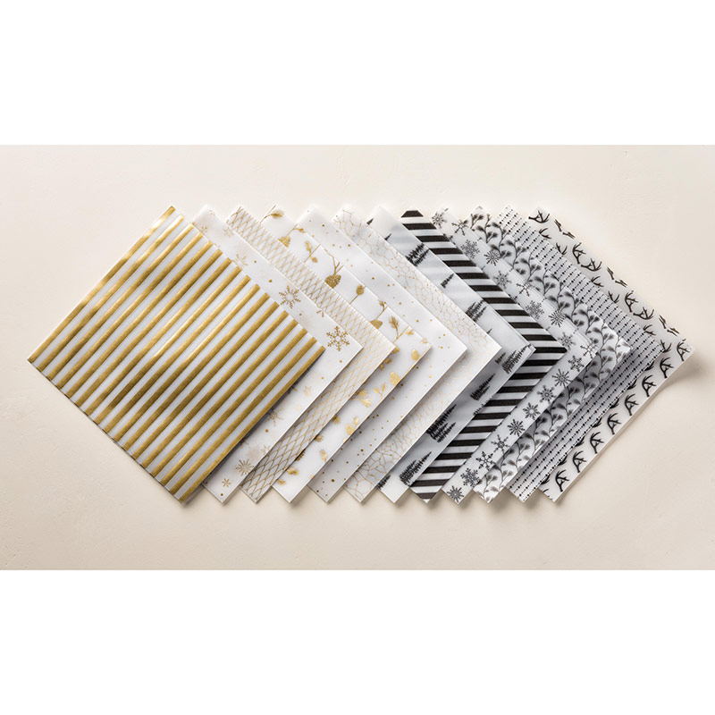 Winter Wonderland Designer Vellum Stack