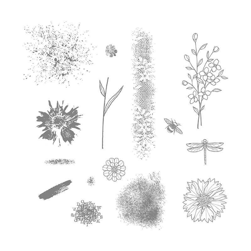 Touches of Texture Stamp Set