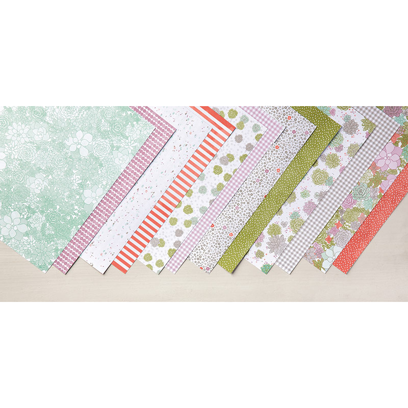 Succulent Garden Designer Series Paper