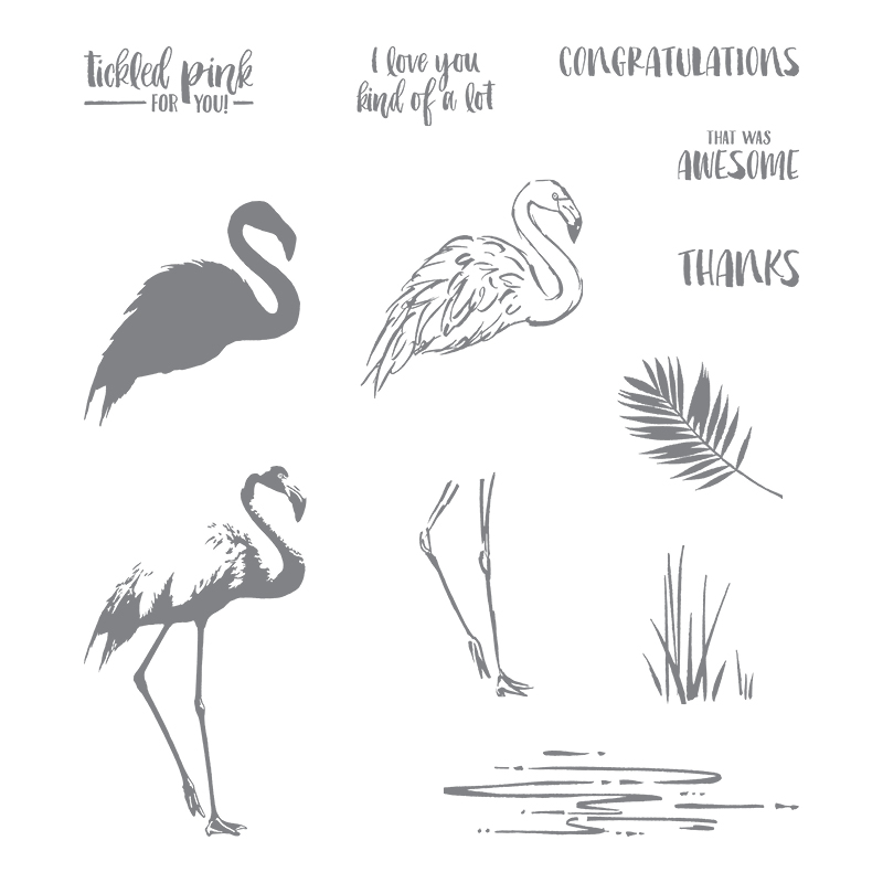 Fabulous Flamingo Stamp Set