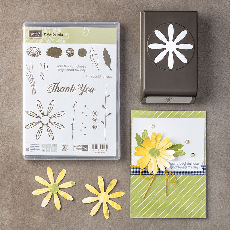 Daisy Delight Stamp Set + Daisy Punch Bundle