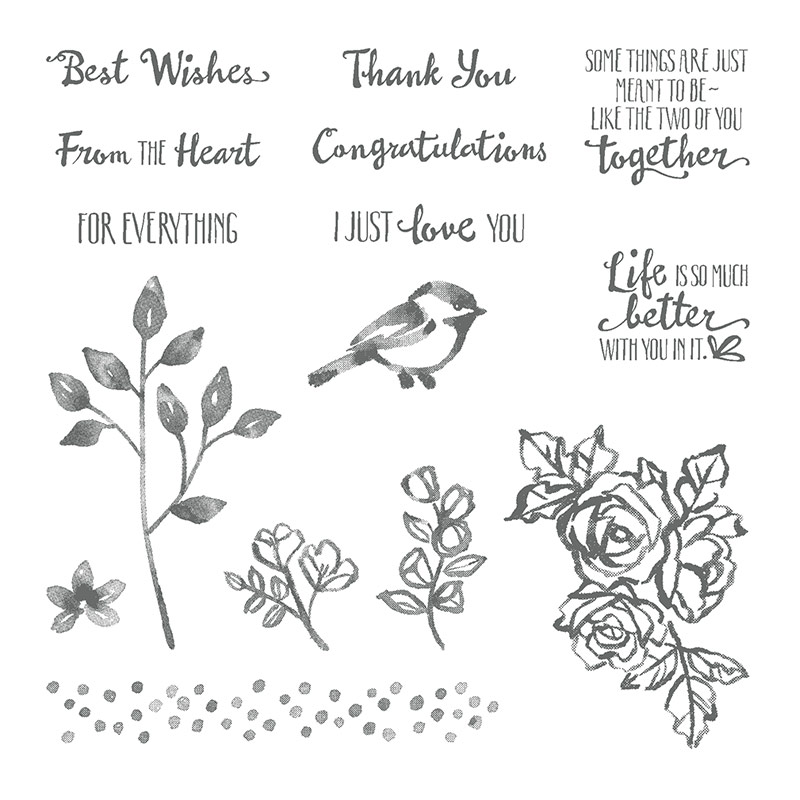 Petal Palette Stamp Set