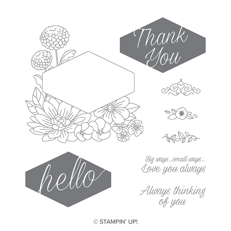 Accented Blooms Stamp Set