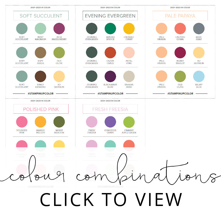 Colour Coach  |  2021-2022 Annual Catalogue In Color Combinations