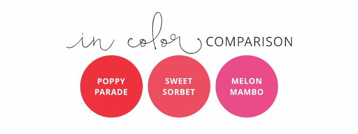 2022-2024 In Color Comparison: Poppy Parade, Sweet Sorbet, Melon Mambo