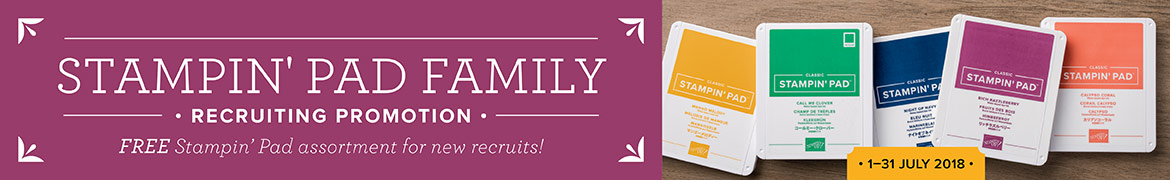 Stampin' Pad Family - a stamp pad assortment for new demonstrators!