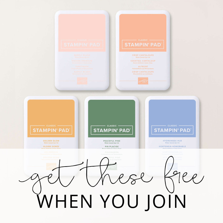 Starter Kit Offer  |  Get the 2026-2028 In Color&trade; Stamp Pads for FREE!