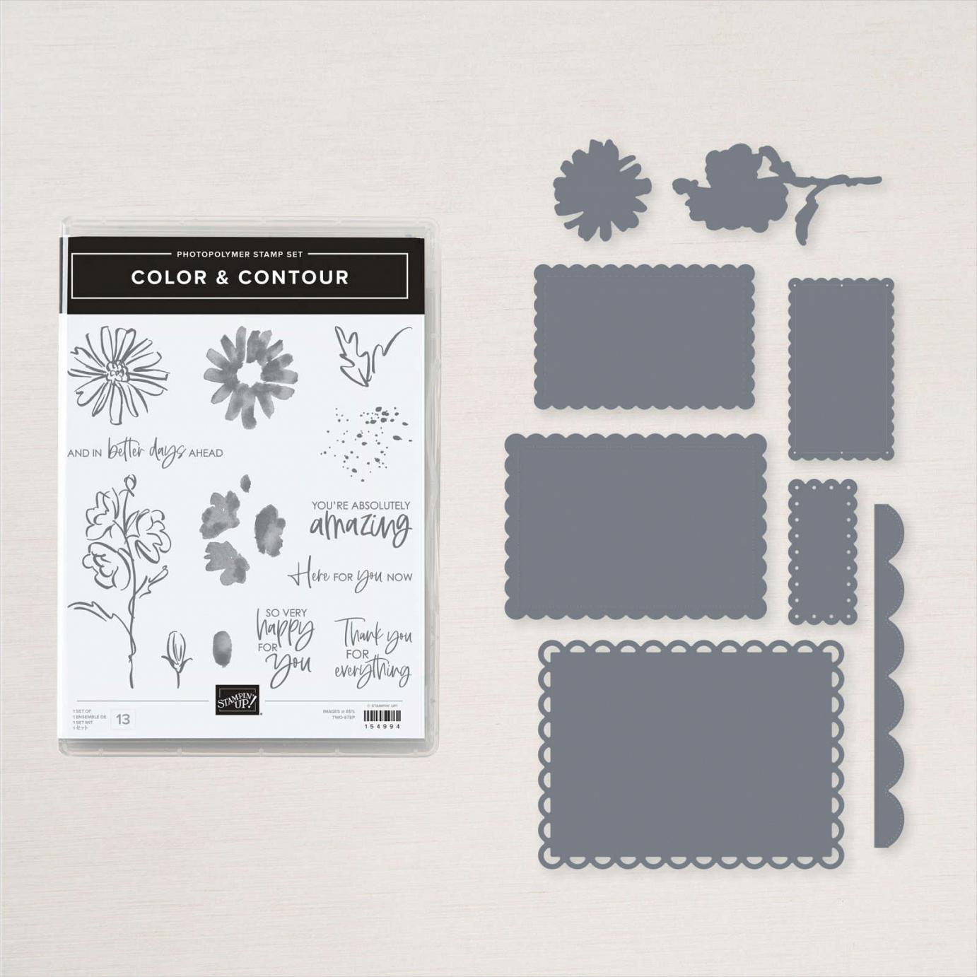 Color & Contour Stamp Set + Scalloped Contours Dies Bundle  |  Image &copy; 2021 Stampin' Up!