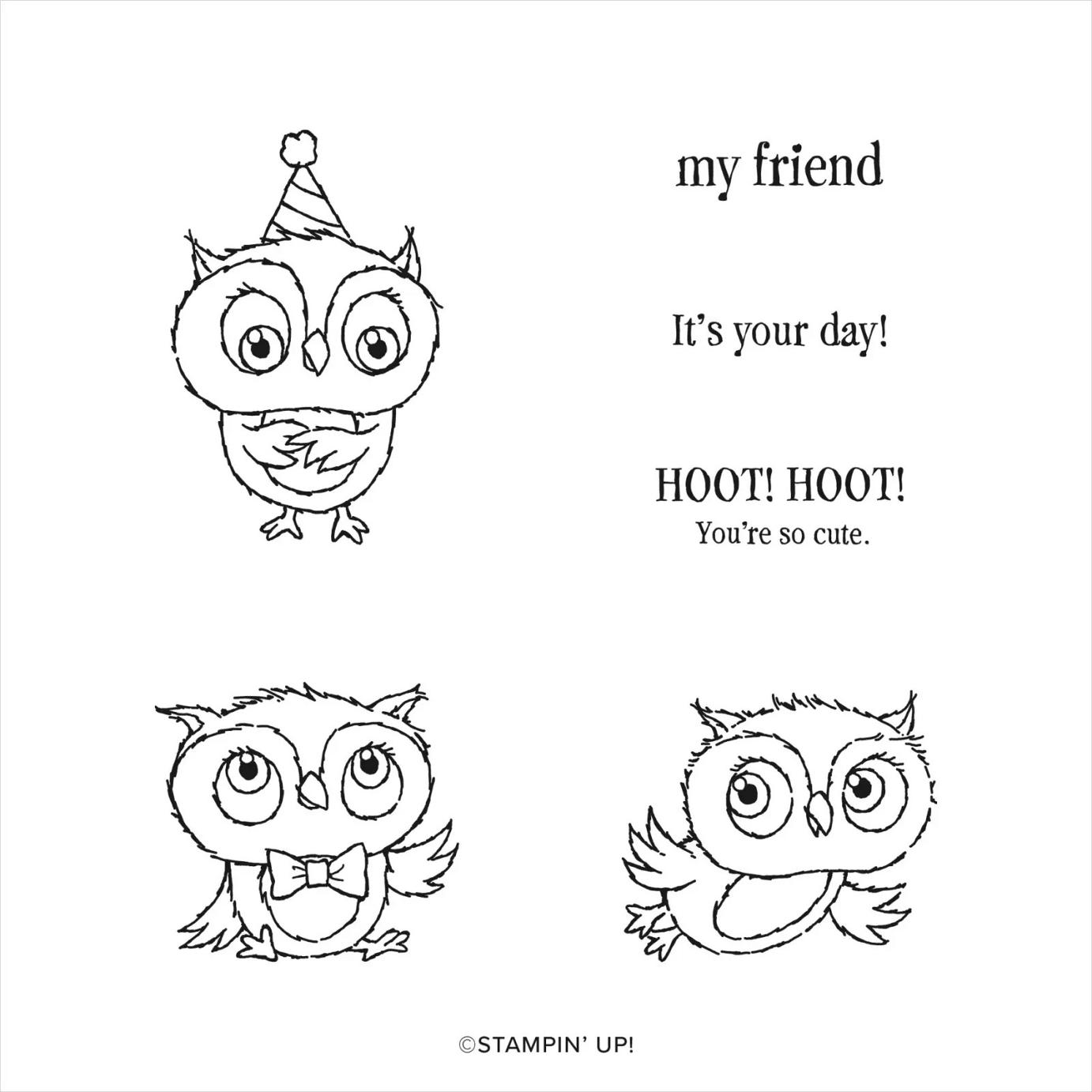 Adorable Owls Stamp Set | Image © 2023 Stampin' Up! Adorable Owls Stamp Set | Image © 2023 Stampin' Up!