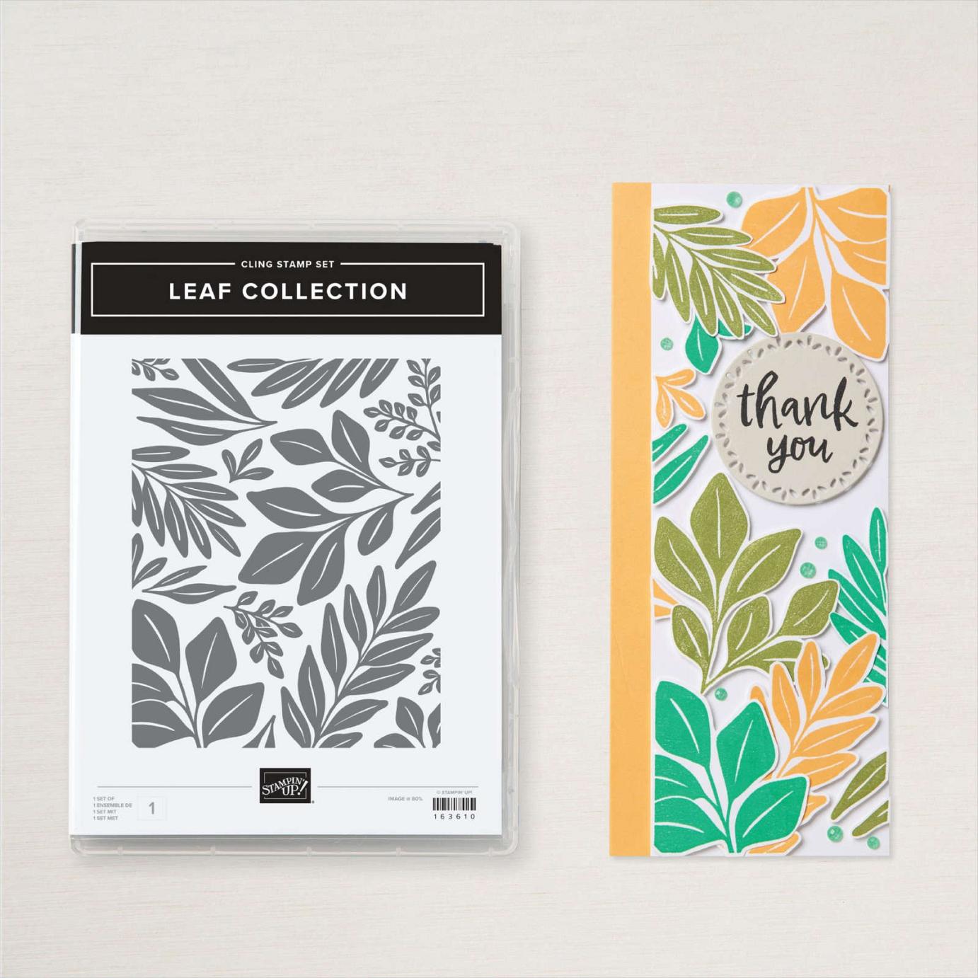 Leaf Collection Stamp Set | Image © 2024 Stampin' Up! Leaf Collection Stamp Set | Image © 2024 Stampin' Up!
